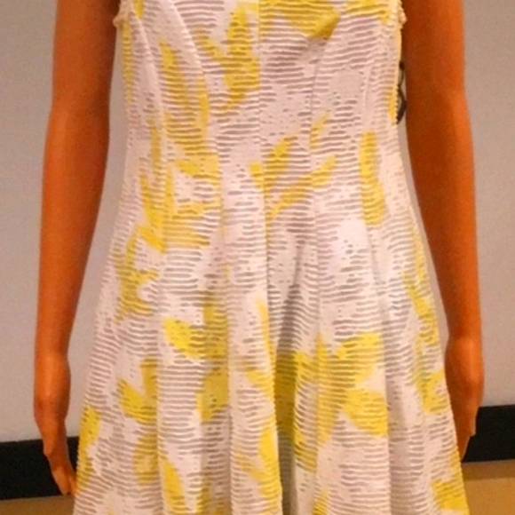 Sandra Darren Spring/Summer Dress - Picture 3 of 5